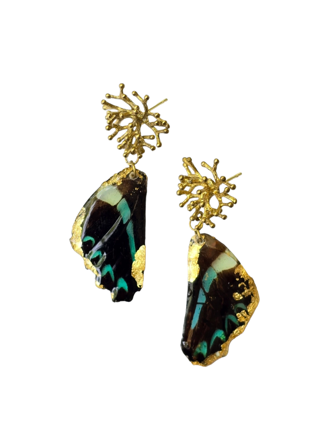 The Pheobe Real Butterfly Earrings