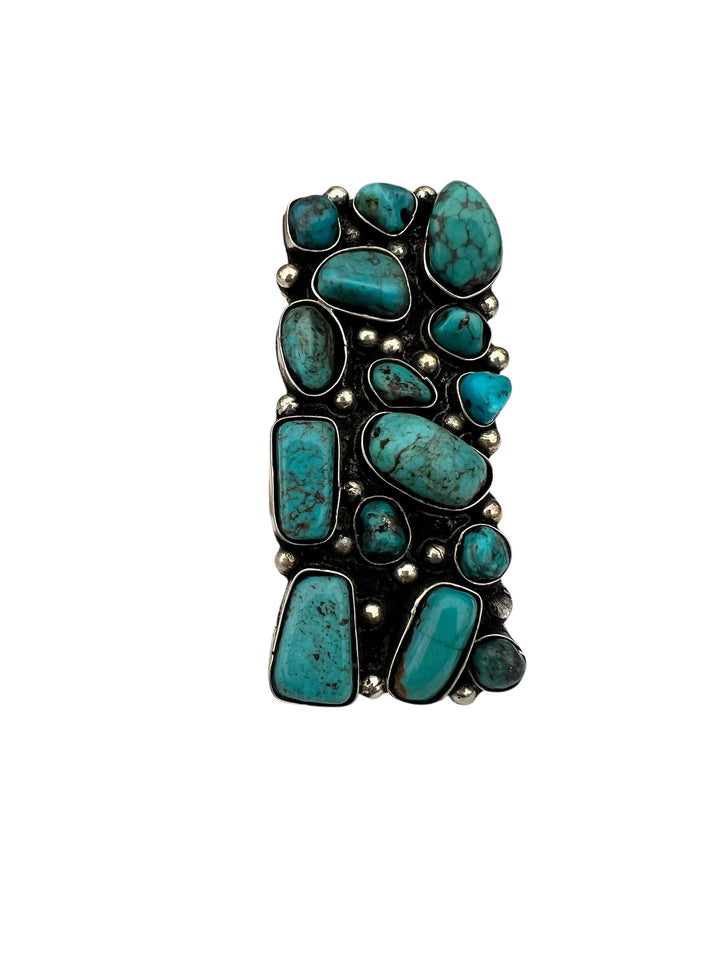 The Turquoise Adjustable Ring