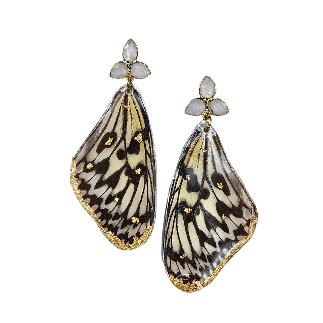 The Paperkite Real Butterfly Moonstone Post Earrings