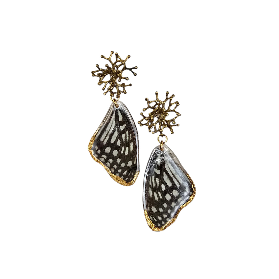 The Black and White Butterfly Post Earrings Collection